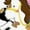 White with Speckles, variant on Inktastic I'm Three-cowgirl Riding Horse Birthday Girls Toddler Dress