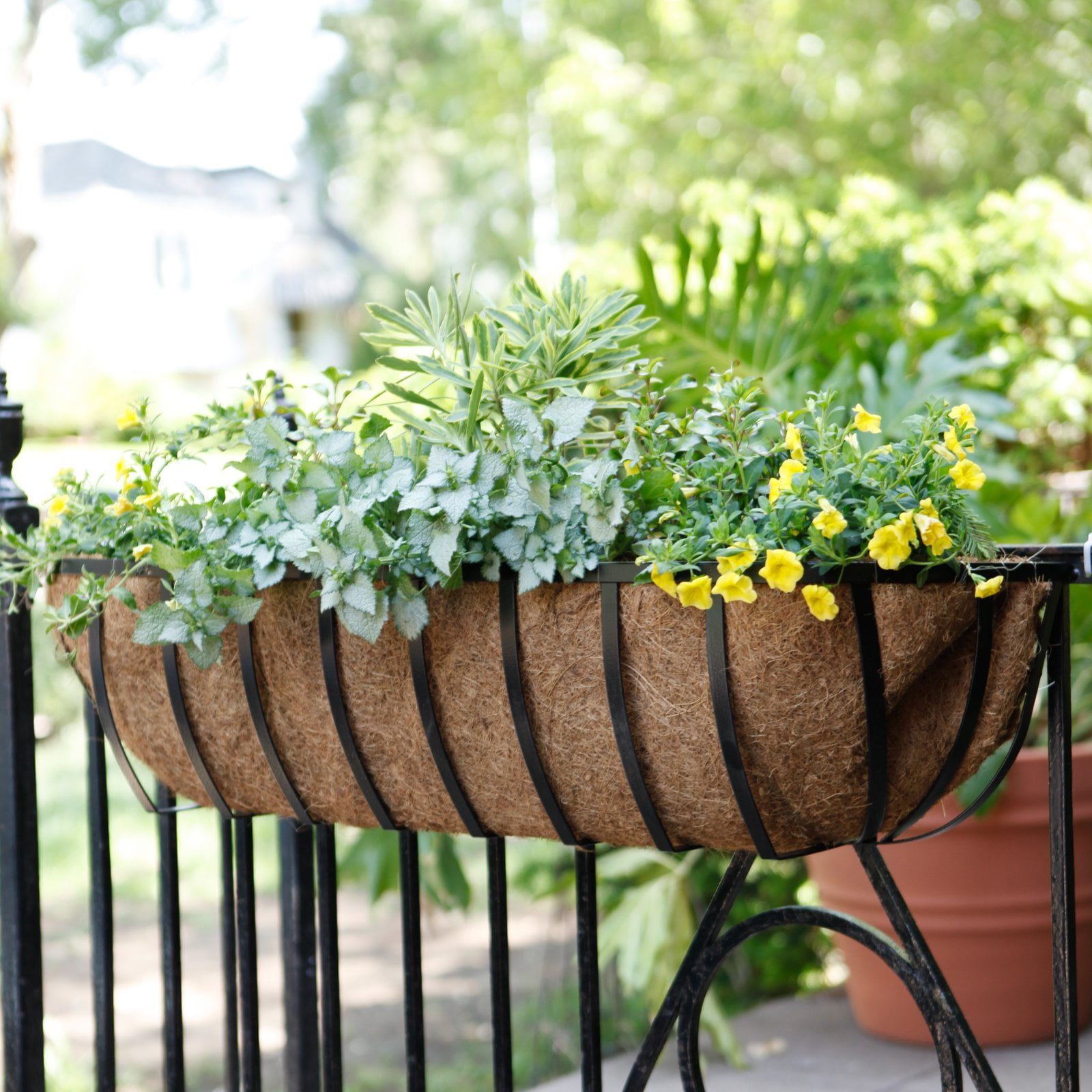 Austram-Griffith Creek Designs Newport Window Box Planter Black by Austram Inc