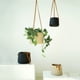 thumbnail image 5 of Macetero colgante de pared, cesta colgante pequeña for plantas, macetero colgante for balcón, macetero colgante for orquídeas, 5 of 7