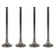 thumbnail image 1 of Kit 4 Válvulas De Escape OEM Bronco Sport L4 2.0l de 2021 a 2025 Ford Original, 1 of 6