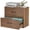 Brown, variant on Marcree Lateral File Cabinets 2 Drawer Wood Office Lateral Filing Cabinet for Home Office, Wooden Filing Cabinets Printer Stand for Hanging Files/Letter, Walnut