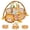 Yellow-Leon, variant on 3-in-1 Baby Play Gym & Activity Mat with Ocean Ball Pit - Developmental Toy for Newborns to Toddlers (0-36 Months)