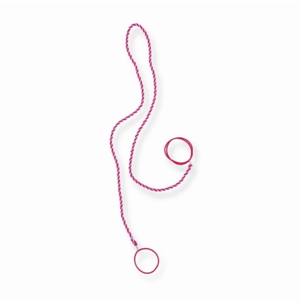 Las Bandas Elásticas de Una Diadema de Cola de Caballo Femenina
