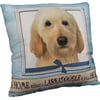 E&S Pets Large Dog Design Throw Pillow 16 x 16 inches - Yellow Labradoodle