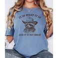 thumbnail image 3 of It Is What It Is and It Is Not Great Shirt for Women & Teens Funny Raccoon Tee Blue Jean Shirt Adult Small, 3 of 4