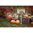 thumbnail image 3 of Eveokoki 12x8Inch Fall Aluminum Pumpkins Yard Stake,Decorative Garden Stakes with Pumpkin Patch Words Sign,Pumpkin Decoration for Holiday Autumn Harvest Thanksgiving Halloween, 3 of 4