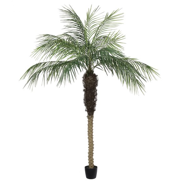 Vickerman Everyday Artificial Phoenix Palm Tree 7 Foot Tall for Indoor Use Home Office Christmas Holiday Tropical Decoration Design Your Tropical Oasis