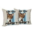 thumbnail image 3 of Ambesonne Cat Throw Pillow Cover Pack of 2, Are You Poopin' Curious Kitty, 2 Pcs-20"x20", Blue Coconut Chocolate, 3 of 5