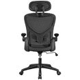 SMILE MART Adjustable High Back Mesh Office Chair with Folding Padded