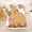 Capybara 13, variant on Erosebridal Kawaii Capybara Twin Sheet Sets 3pcs For Kids,Cartoon Flowers Animal Bedding For Boys Girls,Ultra Soft Home Decor