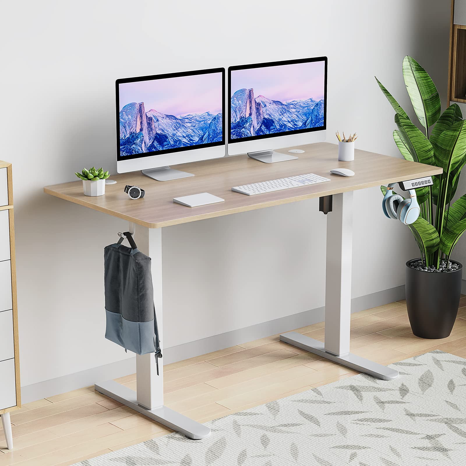 Electric Standing Desk Height Adjustable Desk, 48 x 24 Inches