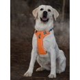 thumbnail image 2 of 1set Adjustable Reflective Anti-Escape Dog Harness With Handle + Reflective Leash With Soft Handle, 2 of 5