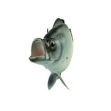 Lifelike 15 quot Freshwater Crappie Fish Resin Plaque Sunfish Wall Mount