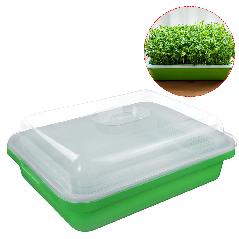 Comaie Seed Sprouter Kitchen Seed Sprouting Tray SoilFree Garden Seed