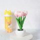 thumbnail image 5 of Lámpara de mesa de flores de simulación de luz de noche de tulipán LED Lámpara de mesa de tulipán simulada decorativa de novedad con olla Lámpara de ambiente con pilas para oficina en casa, 5 of 9