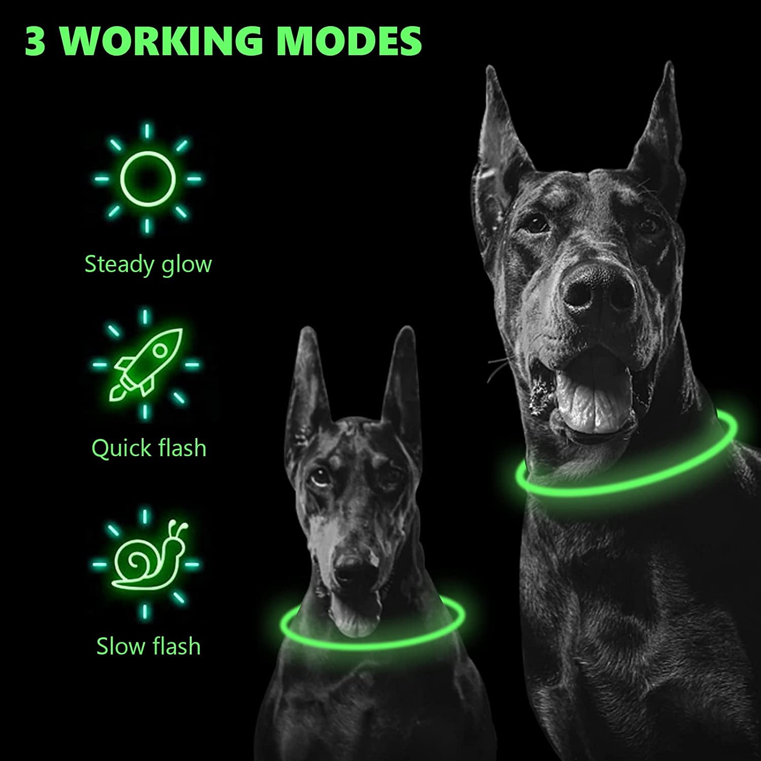 Dog walk light ups collar hot sale