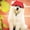 Red, variant on Dog Baseball Cap Sun Protection Dog Visor Hats Outdoor Sports Pet Sun Hat with Ear Holes and Adjustable Chin Strap for Puppy Small Pet,Orange