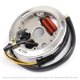 thumbnail image 3 of Generador de estator apto para Suzuki LT 80 LT80 Quadsport 80 1987-2006 32101-40B00, 3 of 4