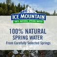 thumbnail image 6 of Ice Mountain 100% Natural Spring Water, 700 mL Bottles, 24-Pack, 6 of 6