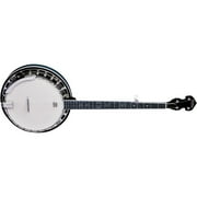 Washburn B14K Banjo