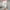 White, variant on VgaVtl Elastic Plus Size Leggings for Women Black High Rise Plus Size Womens Trousers Valentine's Day Print Casual Pants