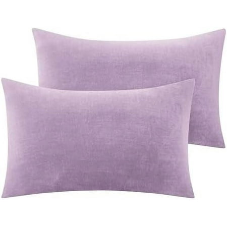 Flannel Pillow Cases Queen Size Set of 2, Super Soft Fleece Pillowcases with Zipper for Bedroom, Sofa, Couch,Luxury Cozy Velvet Pillow Shams for All Seasons(20x30 Inches,Lavender)