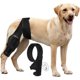 thumbnail image 5 of Stor Hundeknäskydd för Rivna Acl Bakben för Stöd vid Korsbandsskada, Bättre Återhämtning med Hundbensstöd för Bakben -GSL, 5 of 5