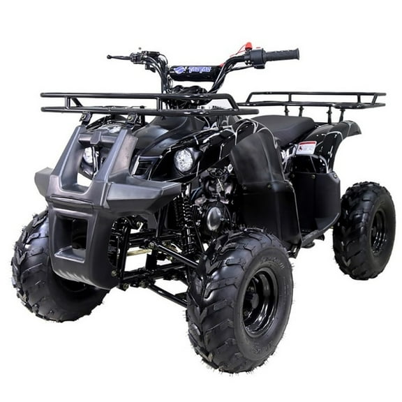 2021 New Tao Motor ATA- 1Automatic Gas All-Terrain Vehicle (ATV) With Big 16'' Tires and Reverse  - Midnight Black Color