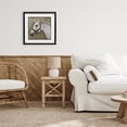 thumbnail image 3 of Stupell Industries Cottage Boho Barnyard Horse Black Framed Print Under Glass, 13 x 13, by Suzanne Nicoll, 3 of 8