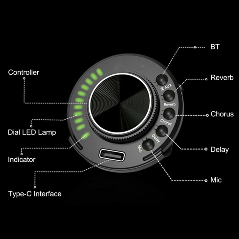 S1 Resonance Pickup Same Frequency Vibration Onboard Pre-SFT Guitar Amplifier System Reverberation Chorus Delay