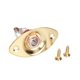 thumbnail image 1 of Naiovety Panel de conector de guitarra eléctrica Universal, 6,35mm, 1/4 , conector ovalado, Kit de montaje de puerto, accesorios para instrumentos Accesorios para instrumentos musicales oro Naiovety OD0057-03, 1 of 6