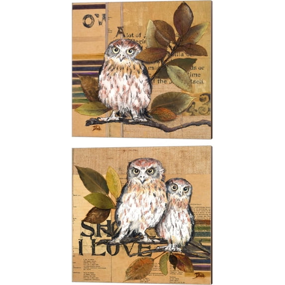 Great Art Now Little Owls by Patricia Pinto 2 Piece Canvas Art Set Each 14W x 14H