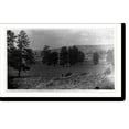 thumbnail image 2 of Historic Framed Print, Flagstaff, Arizona, 1887, 17-7/8" x 21-7/8", 2 of 9