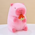 thumbnail image 1 of Poupée Capybara Véritable Poupée Jouet en Peluche Oreiller Cadeau d'Anniversaire Célébrité Internet Ragdoll DMH, 1 of 7