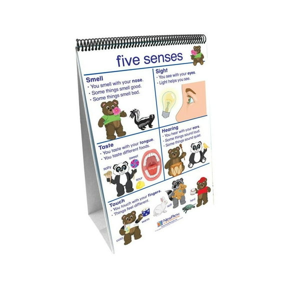 NewPath Learning All About Me Flip Chart Set - English Edition