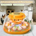 thumbnail image 5 of Incubators for Hatching Eggs, 12 Egg Incubator with Automatic Egg Turning and Humidity Control, Egg Candler, Auto Water Replenishment, Air Vent, for Hatching Chicken Duck Quail Goose Eggs, 5 of 10