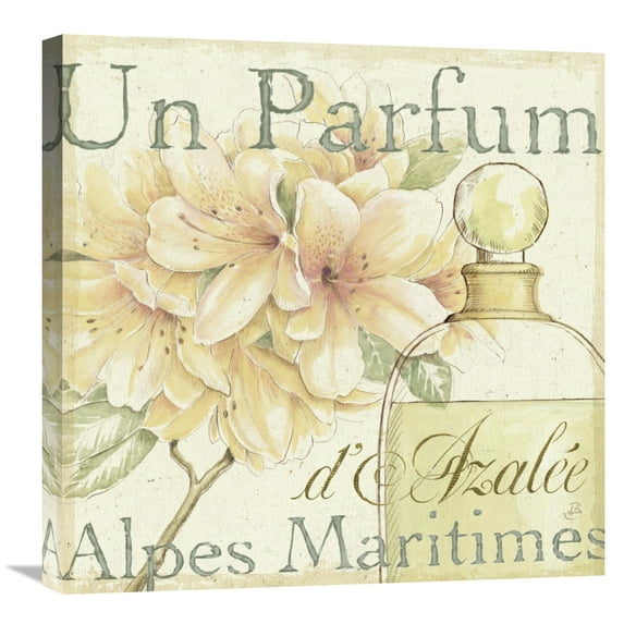Global Gallery's Daphne Brissonnet 'Fleurs Parfums III' Stretched Canvas Wall Art