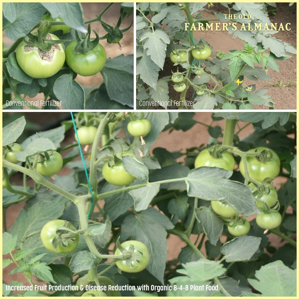 The Old Farmer's Almanac Organic Tomato & Vegetable Plant Food (Case of 8 Bags)