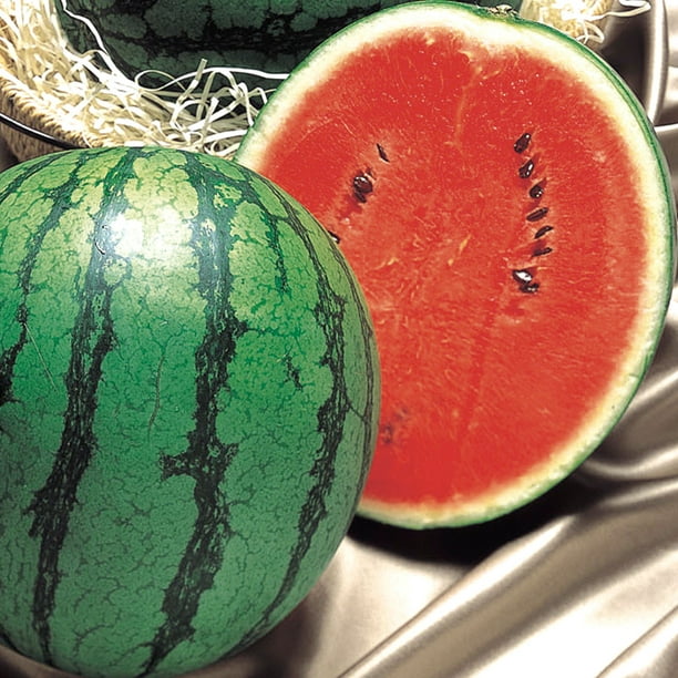 Watermelon Seeds Hime Kansen Hybrid 1 Oz 10500 Seeds NonGMO