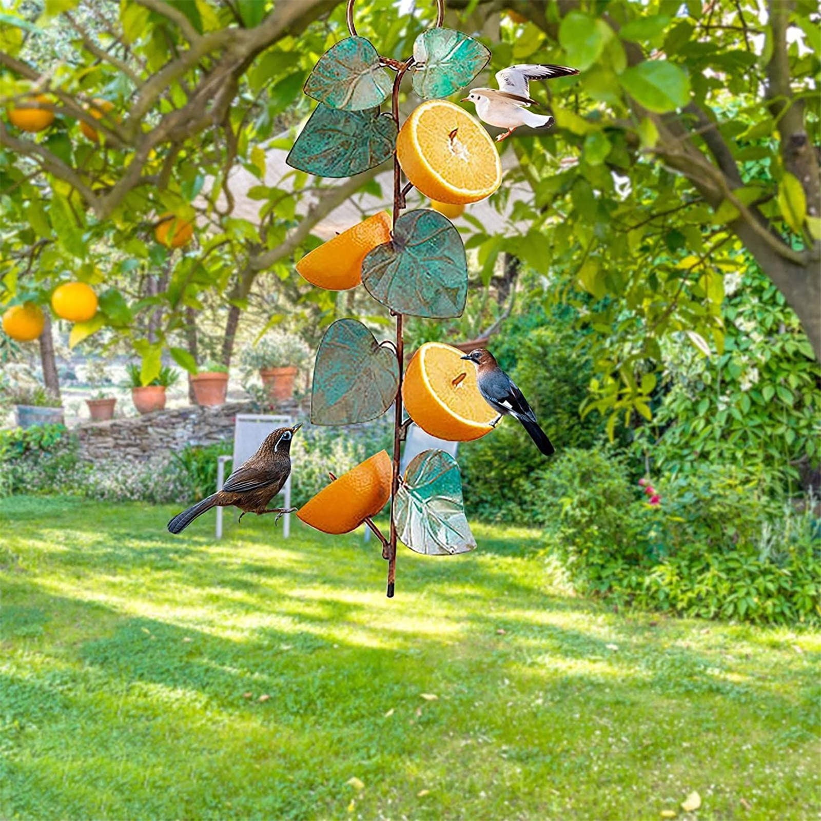 Garden Metal Hanging Feeder Outdoor Jelly and Orange Bird Feeder