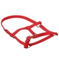 thumbnail image 4 of Horse Halter Thickened Adjustable Creative Horse Bridle Horse Head Collar, 4 of 8