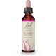 thumbnail image 1 of Bach Flower Essences  Larch | Alerce 20 ml (0,7 oz. líq.), 1 of 6