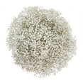 thumbnail image 2 of Bloomingmore - Gypsophilia, Snowball (8 bunches) Fresh Flowers, 2 of 4