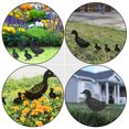 thumbnail image 3 of Worgeous Duck Decors Set of 4 for Outdoor Garden and Home Decoration Lightweight and Durable, 3 of 8