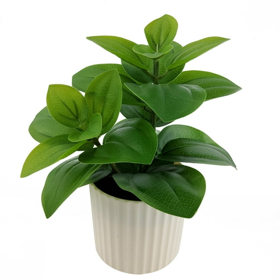 Mainstays 9 in Artificial Peperomia Plant in White Pot, Green Color, 0.5lb Weight.