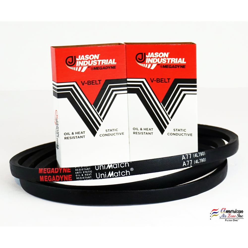 Megadyne Jason Industrial V Belt A77 4L790 (Pack of 1