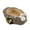 Tortoise Rabbit Race, variant on Kmbangi Cute Plant Pots Resin Stone Dead Wood Decorative Flower Pots Funny Succulent Planter Ornament for Home Garden Office