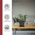 thumbnail image 2 of Ecopots 13.9" x 13.9" x 1.3" Square Dark Grey Plastic Plant Planter with UV Resistance, 2 of 4