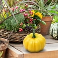 thumbnail image 4 of kjfeif 1 Pcs Mini Artificial Pumpkins, Fall Harvest Simulation Pumpkins Decor Fake Fruit Home Decor for Halloween Thanksgiving Party Decorations (Yellow), 4 of 6