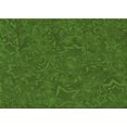 thumbnail image 1 of Ahgly Company Indoor Rectangle Patterned Dark Lime Green Area Rugs, 2' x 4', 1 of 6